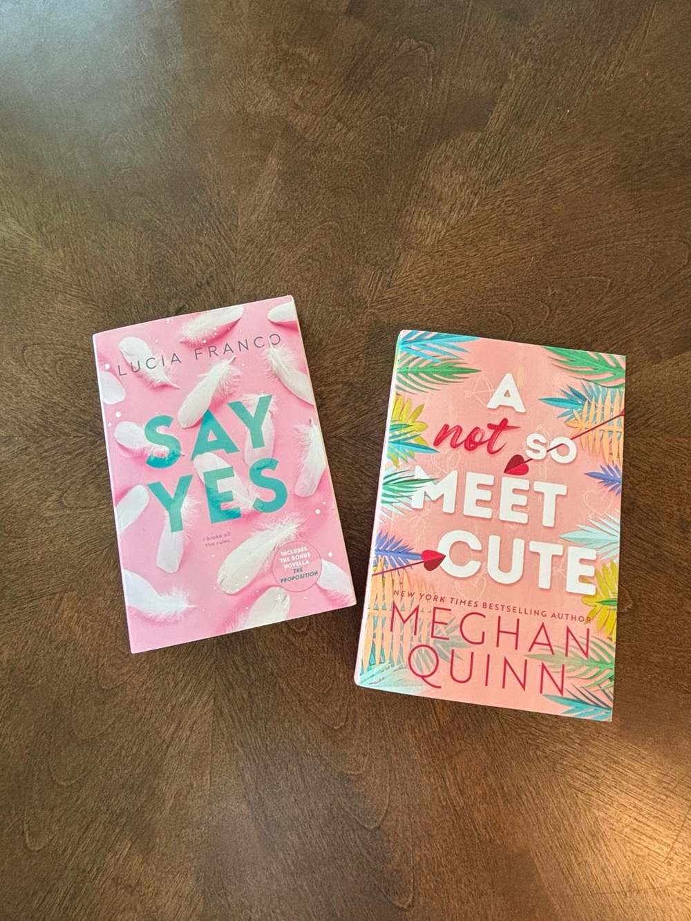 Say Yes by Lucia Franco and A not so meet cute by Meghan Quinn